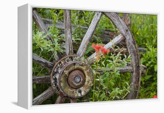 Wagon Wheel in Old Gold Town Barkersville, British Columbia, Canada-Michael DeFreitas-Framed Premier Image Canvas