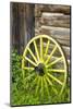 Wagon Wheel in Old Gold Town Barkersville, British Columbia, Canada-Michael DeFreitas-Mounted Photographic Print