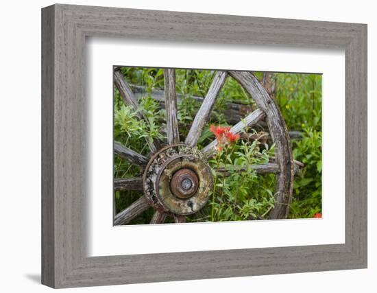 Wagon Wheel in Old Gold Town Barkersville, British Columbia, Canada-Michael DeFreitas-Framed Photographic Print