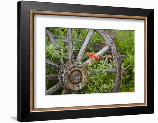 Wagon Wheel in Old Gold Town Barkersville, British Columbia, Canada-Michael DeFreitas-Framed Photographic Print