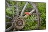 Wagon Wheel in Old Gold Town Barkersville, British Columbia, Canada-Michael DeFreitas-Mounted Photographic Print