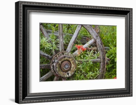 Wagon Wheel in Old Gold Town Barkersville, British Columbia, Canada-Michael DeFreitas-Framed Photographic Print