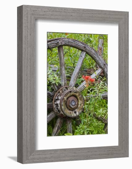 Wagon Wheel in Old Gold Town Barkersville, British Columbia, Canada-Michael DeFreitas-Framed Photographic Print