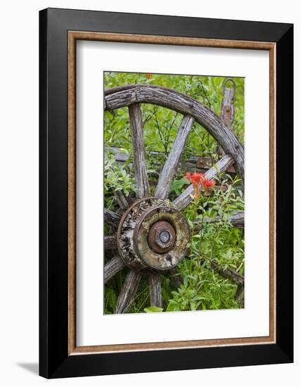 Wagon Wheel in Old Gold Town Barkersville, British Columbia, Canada-Michael DeFreitas-Framed Photographic Print