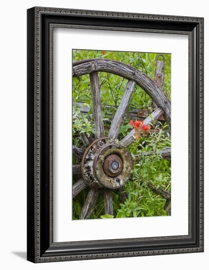 Wagon Wheel in Old Gold Town Barkersville, British Columbia, Canada-Michael DeFreitas-Framed Photographic Print