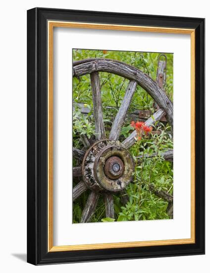 Wagon Wheel in Old Gold Town Barkersville, British Columbia, Canada-Michael DeFreitas-Framed Photographic Print