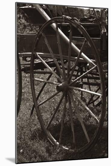 Wagon Wheel-Amanda Lee Smith-Mounted Photographic Print