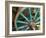 Wagon Wheels in Colorful Blues, Turkey-Darrell Gulin-Framed Photographic Print