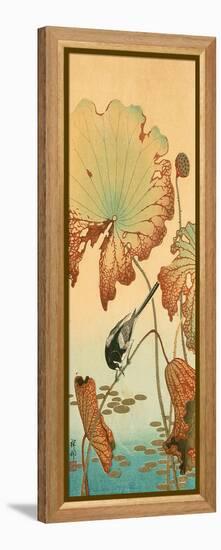 Wagtail and Lotus-Koson Ohara-Framed Premier Image Canvas