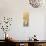 Wagtail and Lotus-Koson Ohara-Giclee Print displayed on a wall