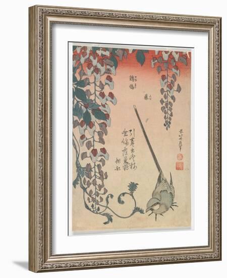 Wagtail and Wisteria, Edo Period, 1834 (Colour Woodblock Print)-Katsushika Hokusai-Framed Giclee Print