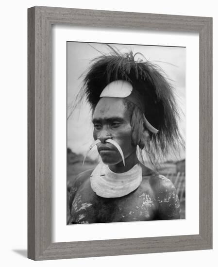 Wahgi Natives of the Central Highlands Wearing Elaborate Decorations During "Sing Sing" Celebration-Eliot Elisofon-Framed Photographic Print