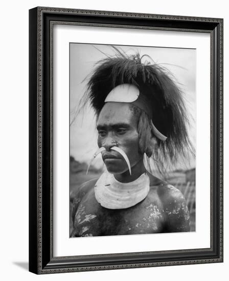 Wahgi Natives of the Central Highlands Wearing Elaborate Decorations During "Sing Sing" Celebration-Eliot Elisofon-Framed Photographic Print