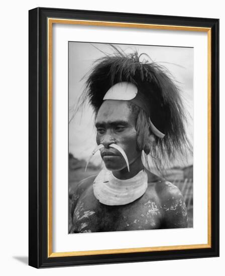 Wahgi Natives of the Central Highlands Wearing Elaborate Decorations During "Sing Sing" Celebration-Eliot Elisofon-Framed Photographic Print