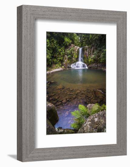 Waiau Falls, a Waterfall on Road 309, Coromandel Peninsula, North Island, New Zealand, Pacific-Matthew Williams-Ellis-Framed Photographic Print