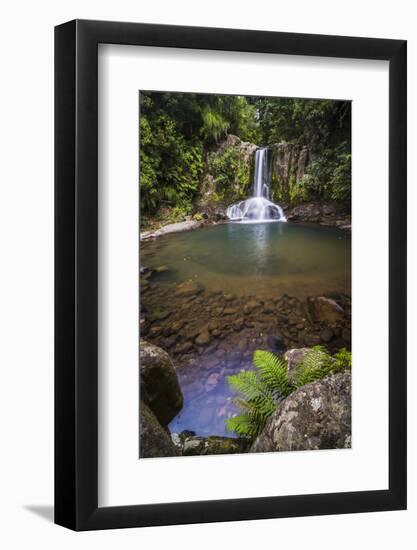 Waiau Falls, a Waterfall on Road 309, Coromandel Peninsula, North Island, New Zealand, Pacific-Matthew Williams-Ellis-Framed Photographic Print