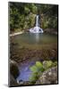 Waiau Falls, a Waterfall on Road 309, Coromandel Peninsula, North Island, New Zealand, Pacific-Matthew Williams-Ellis-Mounted Photographic Print