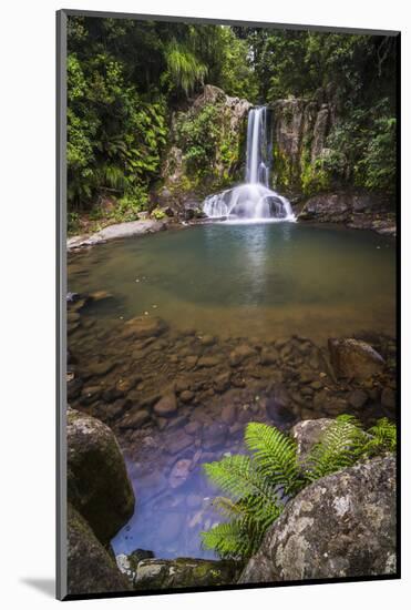 Waiau Falls, a Waterfall on Road 309, Coromandel Peninsula, North Island, New Zealand, Pacific-Matthew Williams-Ellis-Mounted Photographic Print