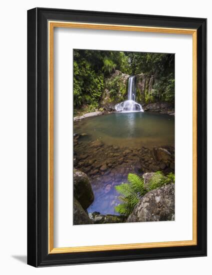 Waiau Falls, a Waterfall on Road 309, Coromandel Peninsula, North Island, New Zealand, Pacific-Matthew Williams-Ellis-Framed Photographic Print