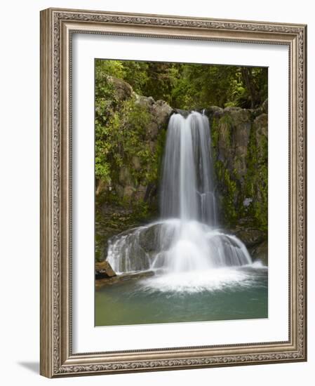 Waiau Waterfall Near 309 Road, Coromandel Peninsula, North Island, New Zealand-David Wall-Framed Photographic Print