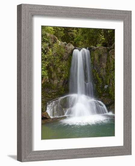 Waiau Waterfall Near 309 Road, Coromandel Peninsula, North Island, New Zealand-David Wall-Framed Photographic Print