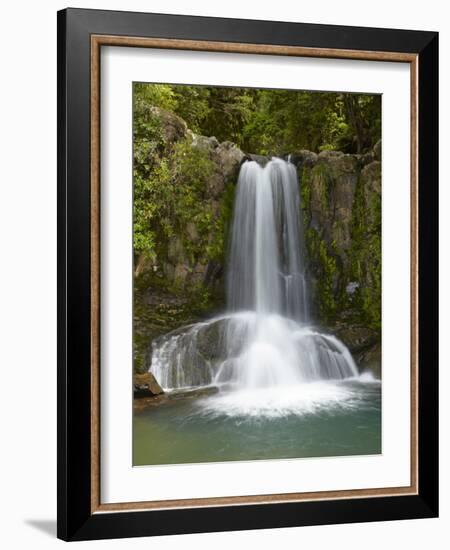 Waiau Waterfall Near 309 Road, Coromandel Peninsula, North Island, New Zealand-David Wall-Framed Photographic Print