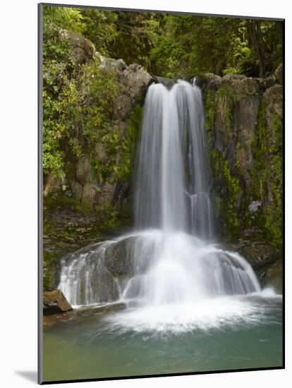 Waiau Waterfall Near 309 Road, Coromandel Peninsula, North Island, New Zealand-David Wall-Mounted Photographic Print