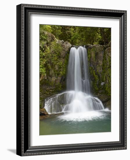 Waiau Waterfall Near 309 Road, Coromandel Peninsula, North Island, New Zealand-David Wall-Framed Photographic Print