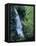 Waiere Falls Near Te Wairoa, North Island, New Zealand, Pacific-Ian Griffiths-Framed Premier Image Canvas