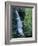 Waiere Falls Near Te Wairoa, North Island, New Zealand, Pacific-Ian Griffiths-Framed Photographic Print