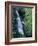 Waiere Falls Near Te Wairoa, North Island, New Zealand, Pacific-Ian Griffiths-Framed Photographic Print