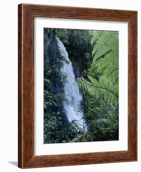 Waiere Falls Near Te Wairoa, North Island, New Zealand, Pacific-Ian Griffiths-Framed Photographic Print