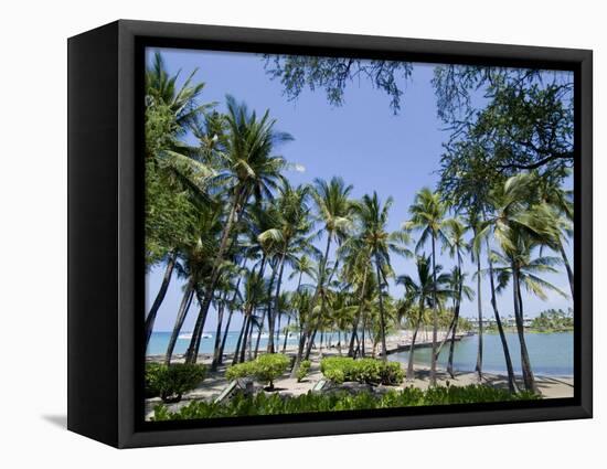 Waikaloa Beach, Island of Hawaii (Big Island), Hawaii, USA-Ethel Davies-Framed Premier Image Canvas