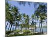Waikaloa Beach, Island of Hawaii (Big Island), Hawaii, USA-Ethel Davies-Mounted Photographic Print
