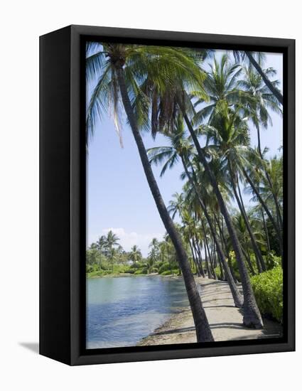 Waikaloa Beach, Island of Hawaii (Big Island), Hawaii, USA-Ethel Davies-Framed Premier Image Canvas