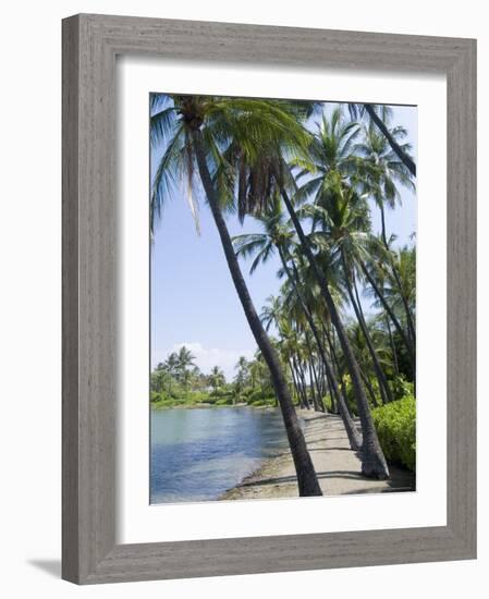 Waikaloa Beach, Island of Hawaii (Big Island), Hawaii, USA-Ethel Davies-Framed Photographic Print