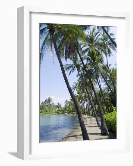 Waikaloa Beach, Island of Hawaii (Big Island), Hawaii, USA-Ethel Davies-Framed Photographic Print