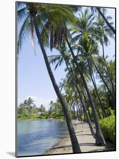 Waikaloa Beach, Island of Hawaii (Big Island), Hawaii, USA-Ethel Davies-Mounted Photographic Print