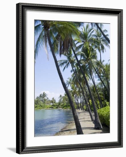 Waikaloa Beach, Island of Hawaii (Big Island), Hawaii, USA-Ethel Davies-Framed Photographic Print