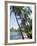 Waikaloa Beach, Island of Hawaii (Big Island), Hawaii, USA-Ethel Davies-Framed Photographic Print