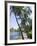 Waikaloa Beach, Island of Hawaii (Big Island), Hawaii, USA-Ethel Davies-Framed Photographic Print