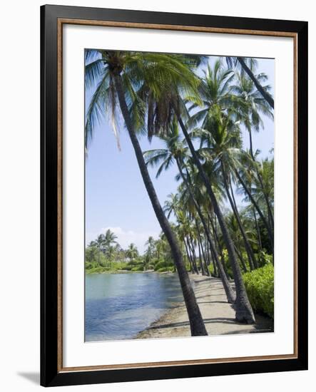Waikaloa Beach, Island of Hawaii (Big Island), Hawaii, USA-Ethel Davies-Framed Photographic Print
