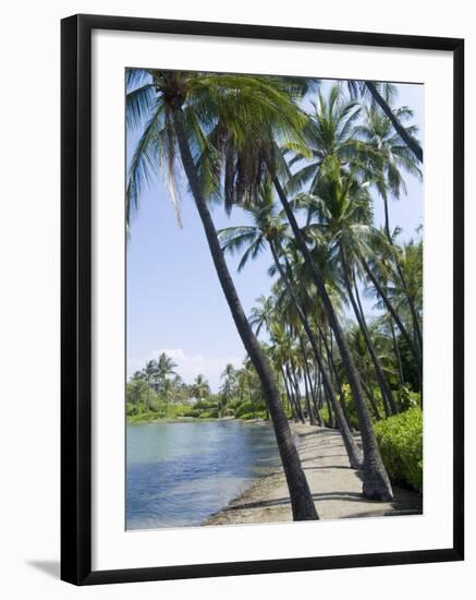 Waikaloa Beach, Island of Hawaii (Big Island), Hawaii, USA-Ethel Davies-Framed Photographic Print