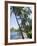 Waikaloa Beach, Island of Hawaii (Big Island), Hawaii, USA-Ethel Davies-Framed Photographic Print