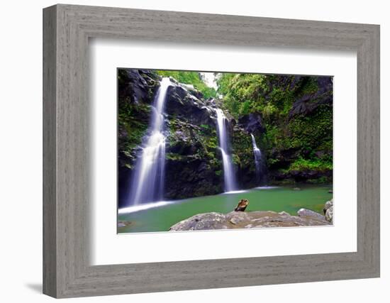 Waikamoi Falls On The Road To Hana-George Oze-Framed Photographic Print