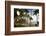 Waikiki Beach Clock, Honolulu, O'ahu, Hawaii (photo)-null-Framed Photographic Print