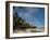 Waikiki Beach Near the Hilton Hawaiian Village in Honolulu, Oahu, Hawaii, Usa-Bill Bachmann-Framed Photographic Print