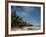 Waikiki Beach Near the Hilton Hawaiian Village in Honolulu, Oahu, Hawaii, Usa-Bill Bachmann-Framed Photographic Print