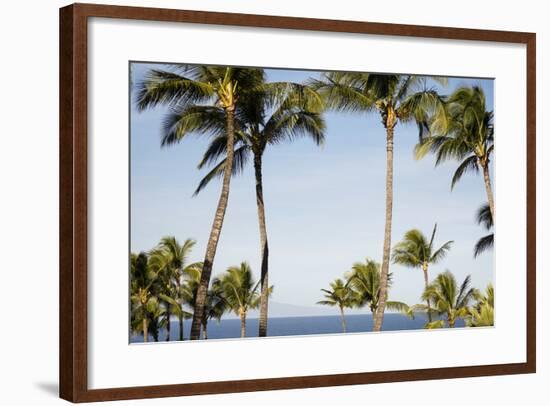 Wailea Beach Marriott Resort And Spa, Maui, Hawaii, USA: Palm Trees At The Resort-Axel Brunst-Framed Photographic Print