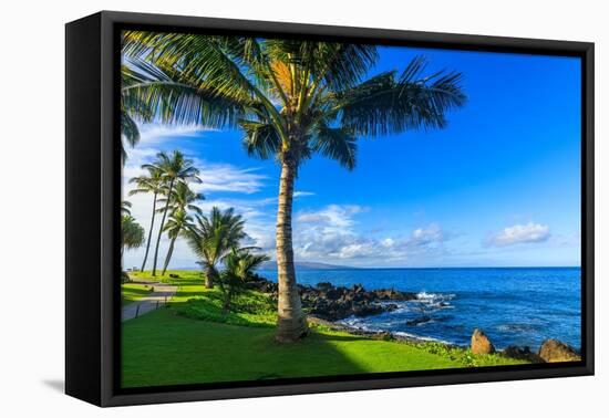 Wailea Beach near Kihei, Maui, Hawaii, USA-Elena_Suvorova-Framed Premier Image Canvas